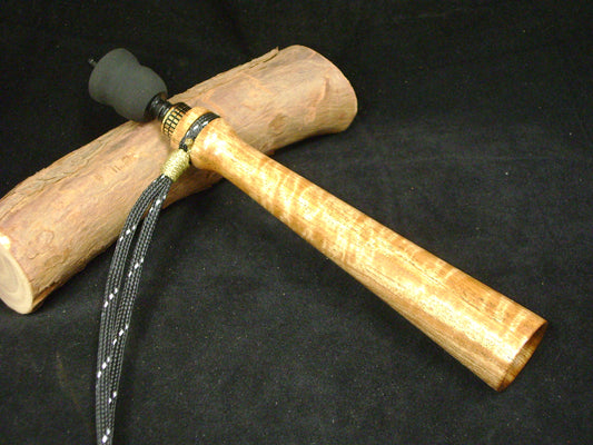 Asian Satinwood Turkey Trumpet