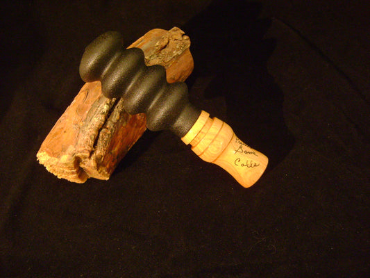 Pecan Wood Squirrel Call