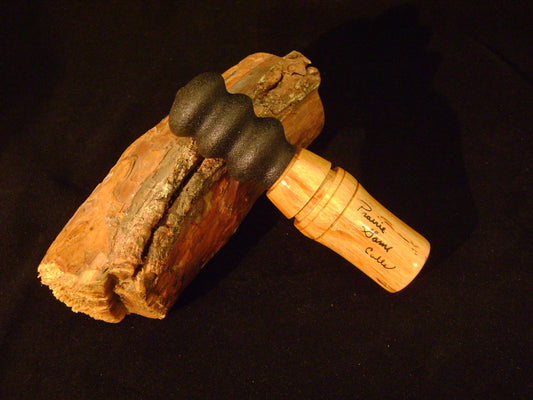 Box Elder Squirrel Call