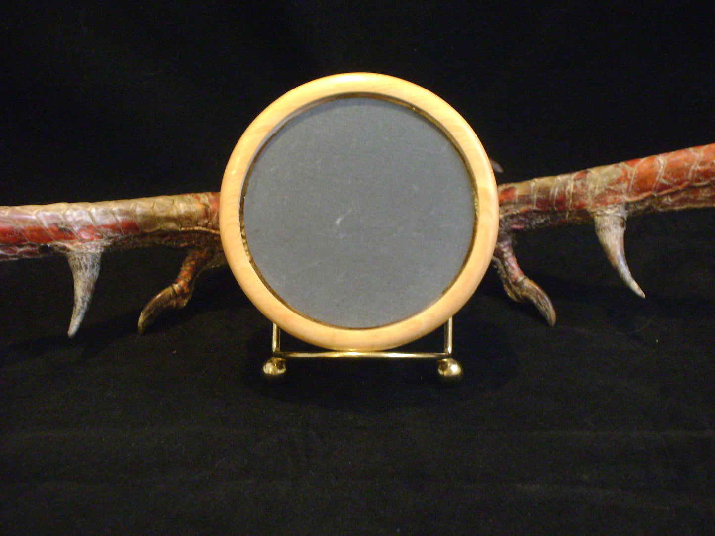 3.0" Cypress Tree Talker